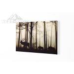 Vászonkép Erdő