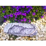 Térképes szemüvegtok