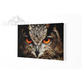 Vászonkép Bagoly