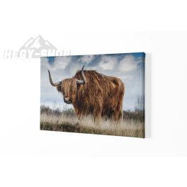 Vászonkép Szarvasmarha