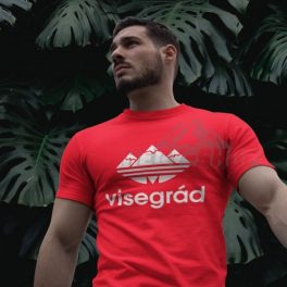 Visegrádcsúcs Póló