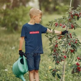 Kőszeg # Gyerek Póló
